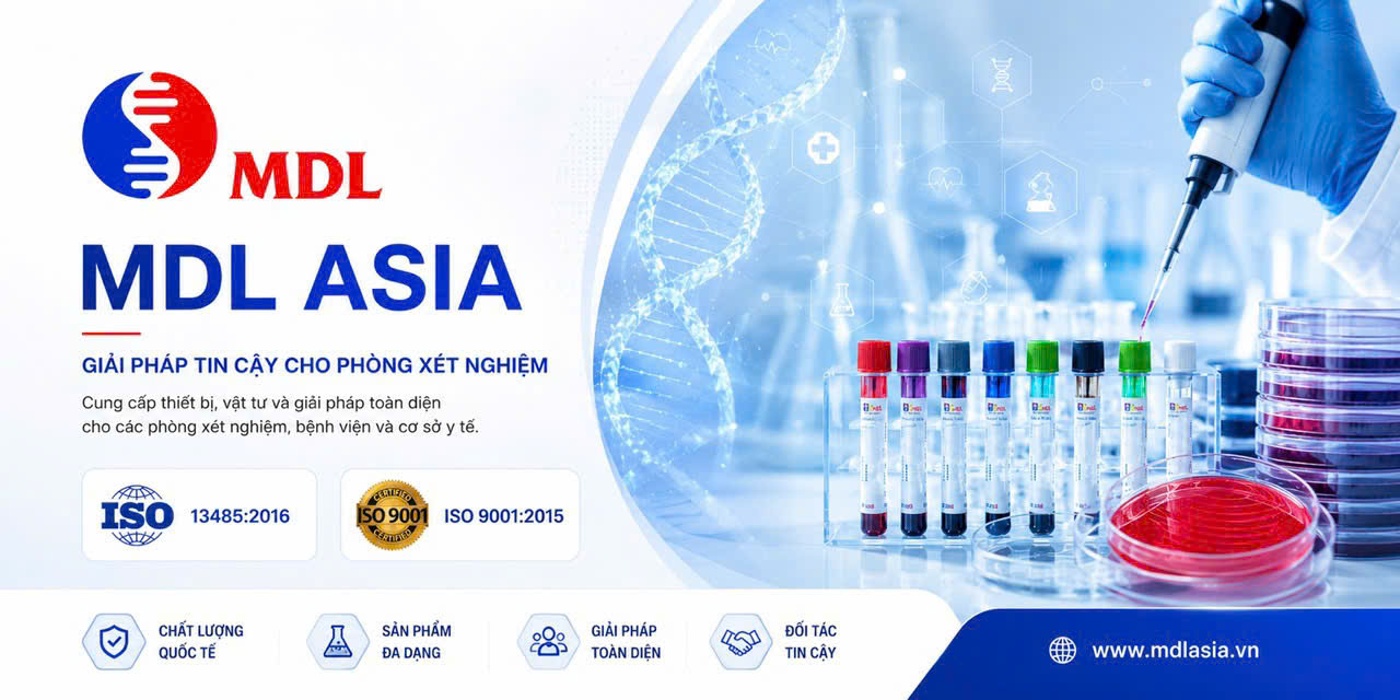 mdlasia.vn