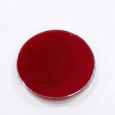 MDL Mueller Hinton Agar with 5% Sheep Blood