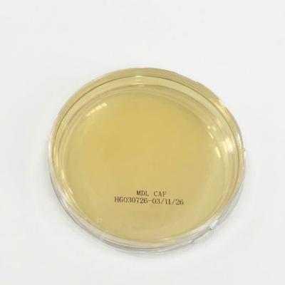 MDL Sabouraud CAF Agar 9015